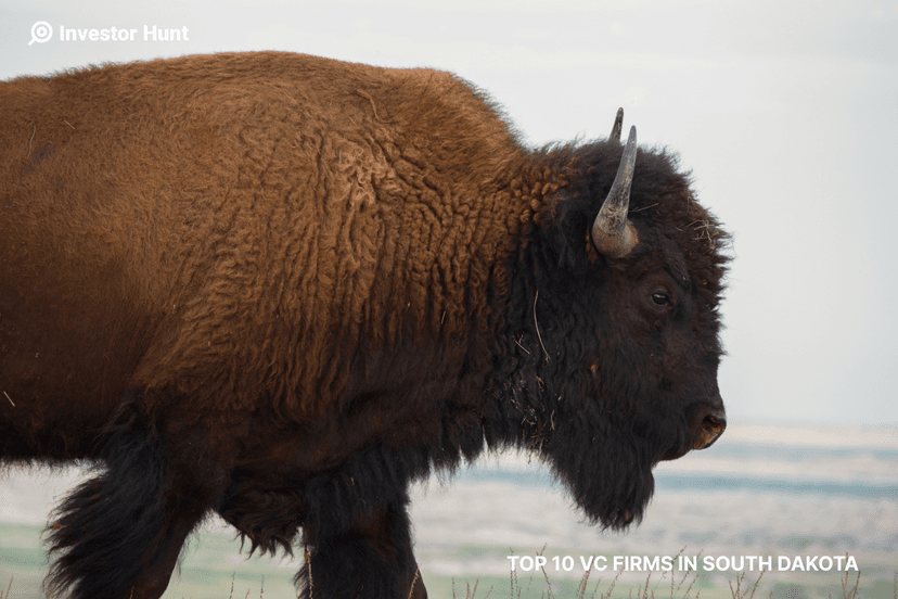 Top 10 VC Firms in South Dakota
