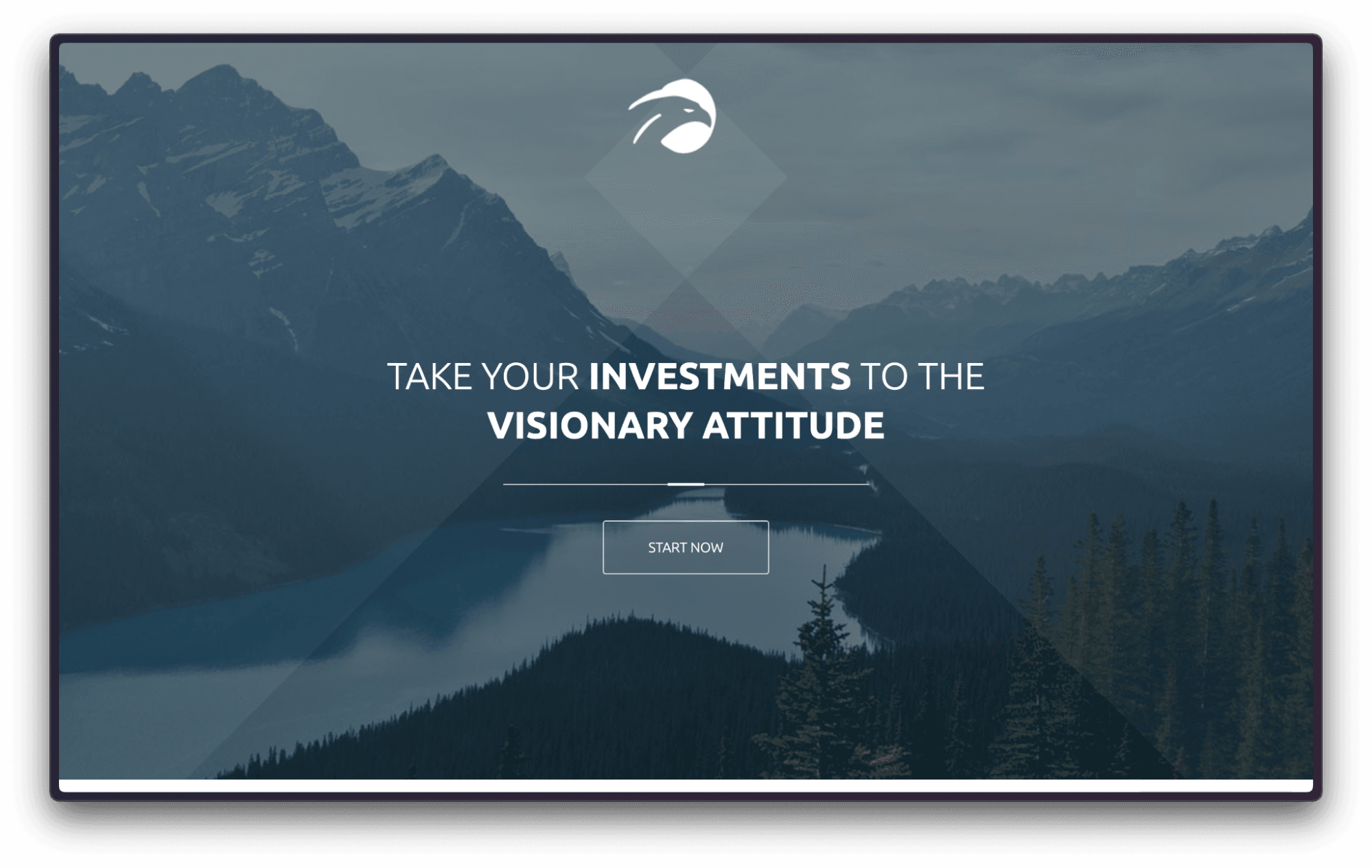 Visionary Investment Finance Company