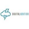 Digital Ignition Entertainment