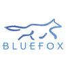 BlueFox.io